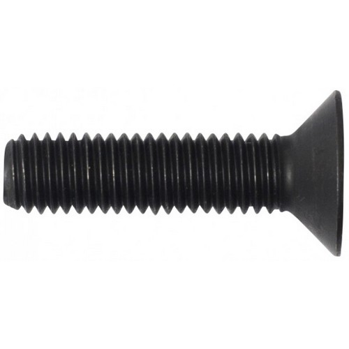 100017583_6633.JPG 100017583_6633.JPG
