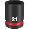 101129190_48688.JPG