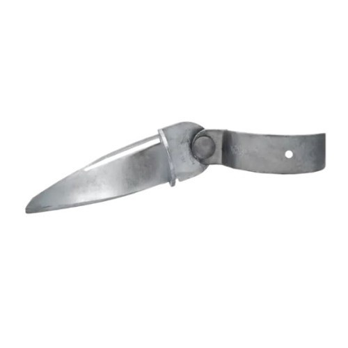 101206196_90280.jpeg 101206196_90280.jpeg